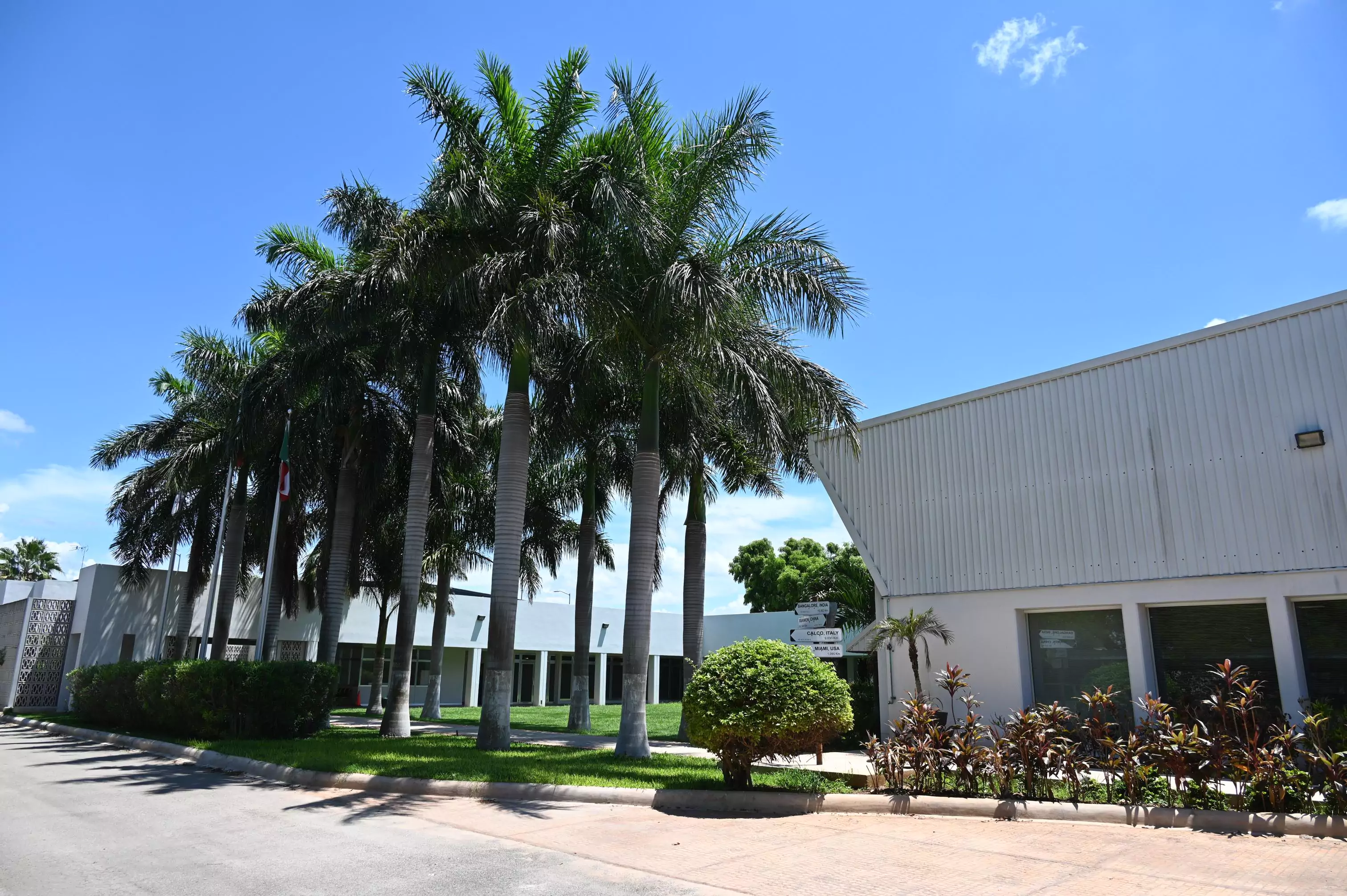 Plant 5 – Building